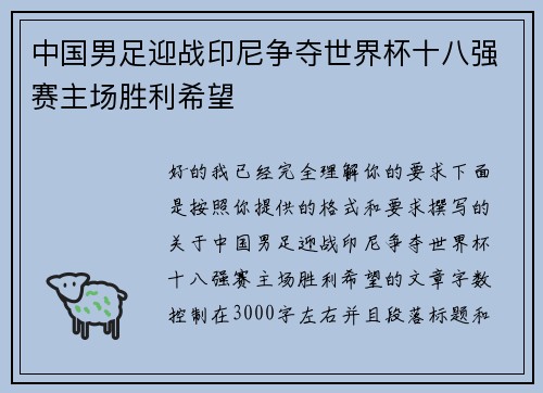 中国男足迎战印尼争夺世界杯十八强赛主场胜利希望
